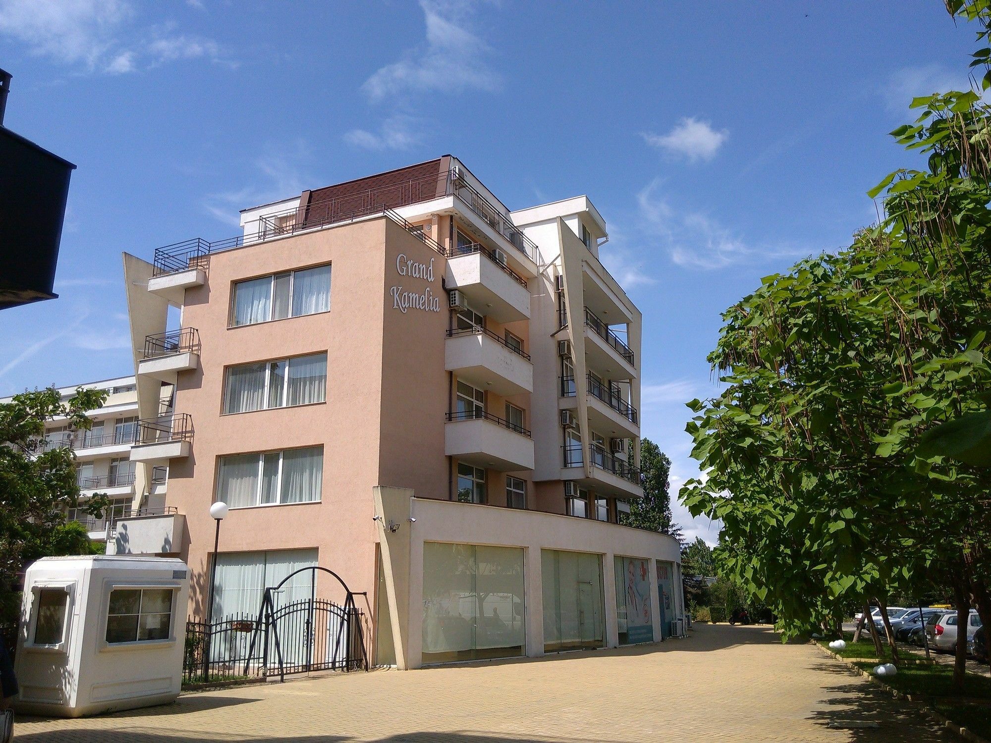 In Grand Kamelia